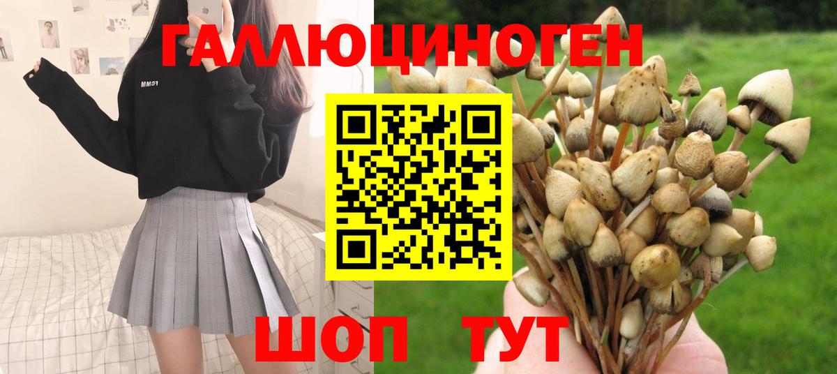 Псилоцибиновые грибы MAGIC MUSHROOMS Миасс